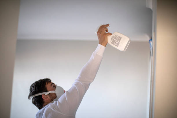 Best White Mold Remediation in Cypress Landing, NC