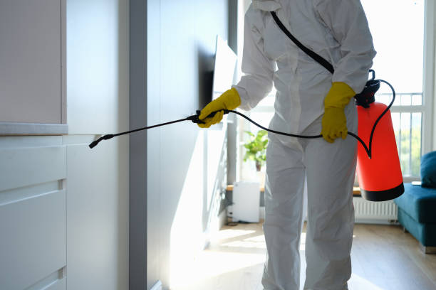 Best HVAC Mold Remediation in Cypress Landing, NC